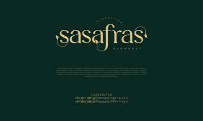 Sasafras premium luxury elegant alphabet letters and numbers. Vintage wedding typography classic serif font decorative vintage retro. creative vector illustration