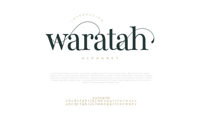 Waratah premium luxury elegant alphabet letters and numbers. Vintage wedding typography classic serif font decorative vintage retro. creative vector illustration