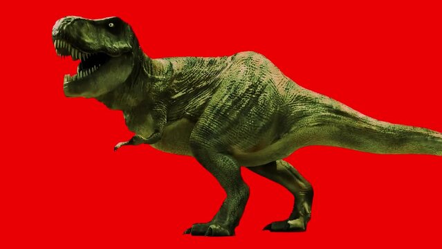 tyrannosaurus rex dinosaur green screen chroma key, easily removable background