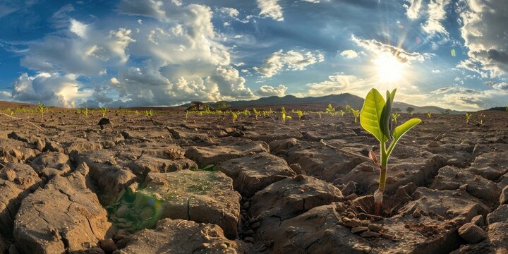 An environment in which everything has been lost to the great catastrophe of nature, but only one cotyledon of a plant is coming up. wide angle