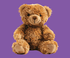 Brown cute bear isolated on purple background, realistic vector illustration