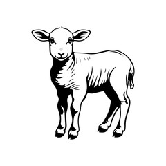 Fototapeta premium illustration of a sheep