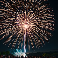 Obraz premium Summer fireworks festival