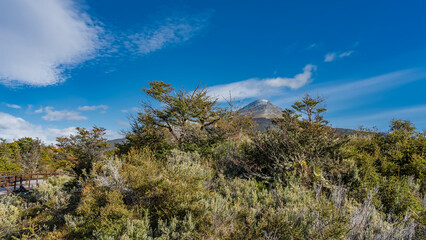 Obraz premium Green trees and lush grass grow in the valley. A boardwalk hiking trail is visible in the thickets. A snow-capped mountain on a background of blue sky and clouds. Tierra del Fuego National Park.
