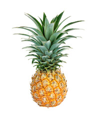 Fototapeta premium Ripe whole pineapple transparent png