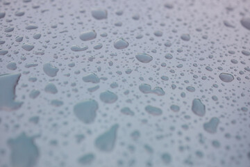 A serene image of water droplets on a smooth surface, capturing a tranquil and peaceful scene
