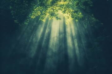 Obraz premium Sunlight streams through the canopy of a dense forest, casting serene rays of light in a tranquil, green woodland setting.