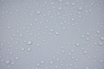 A serene image of water droplets on a smooth surface, capturing a tranquil and peaceful scene