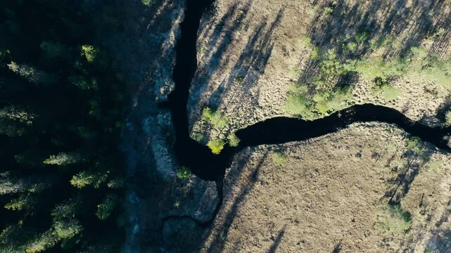 Seterdjupna, Holt&aring;len, Trondelag, Norway - A River Winding Through Expansive Terrain Dotted With Trees - Vertical Shot