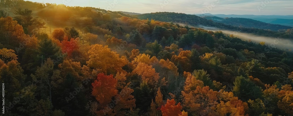 Poster stunning aerial view of a colorful autumn forest with a sunrise casting golden light on the landscap