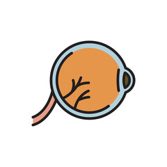 Eyeball Icon, anatomy of human body organs