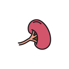 Spleen Limpa Icon, anatomy of human body organs