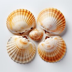 Obraz premium Four shells with a yellow and white pattern