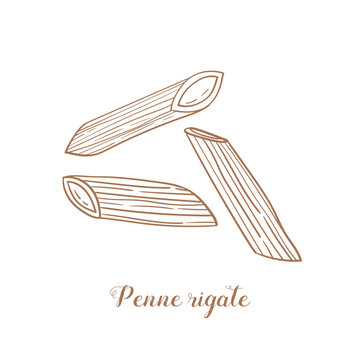 Penne rigate pasta illustration. Vector sketch. Traditional Italian food. Hand-drawn image. Isolated icon