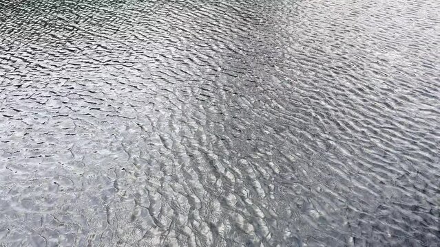 tremors, reflections, phosphorescence formations on water