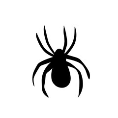 Spider silhouettes