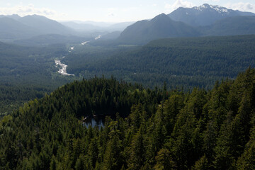 Aerial View of Forested Valley with River and Distant Mountains