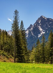 Calm morning scene of valley in High Tatras National Park, Slovakia, Europe. Beauty of nature concept background. Slovakia, Europe. Beauty world.