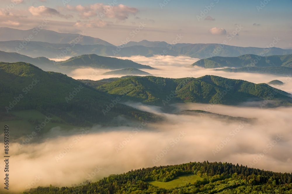 Poster Mountains, colorful sunrise. Scenic aerial view. Fly over clouds or fog. Green forest. Green hill. Hiking tourism. Beauty in nature concept.