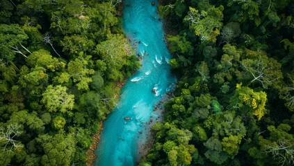 Papier peint photo Rivière en forêt A river is seen in the middle of a forest. AI.  © Nikolay