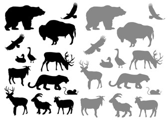 Wild Animals Silhouette collection vector with White Background
