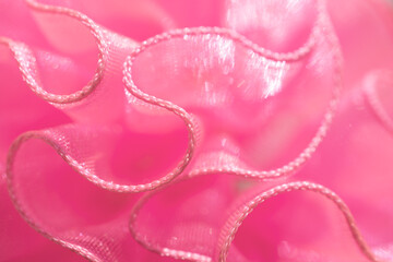 Pink flounces. Lace fabric.