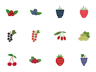 Berry Fruit SVG Icons Set