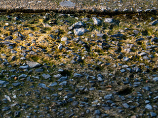 Weeds and moss on the concrete floor are eroded to reveal rocks