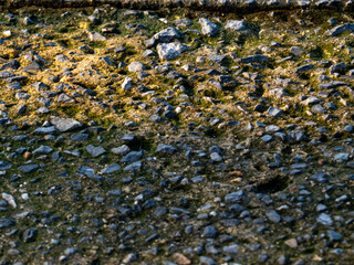 Weeds and moss on the concrete floor are eroded to reveal rocks