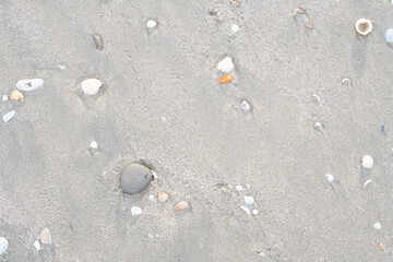 details of sand that were eroded by sea water Along the coast of Thailand