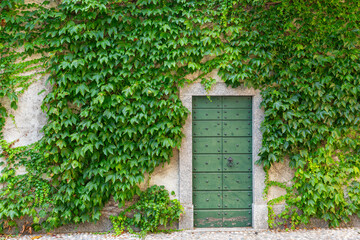 Green door surrounded by ivy in Varenna, Lake Como, Italy