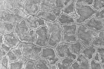 Dirty old cracked concrete floor texture background. Rough and grunge surface with black mould stains.