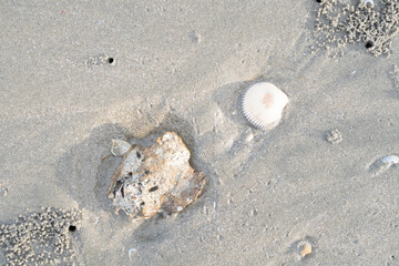 details of sand that were eroded by sea water Along the coast of Thailand