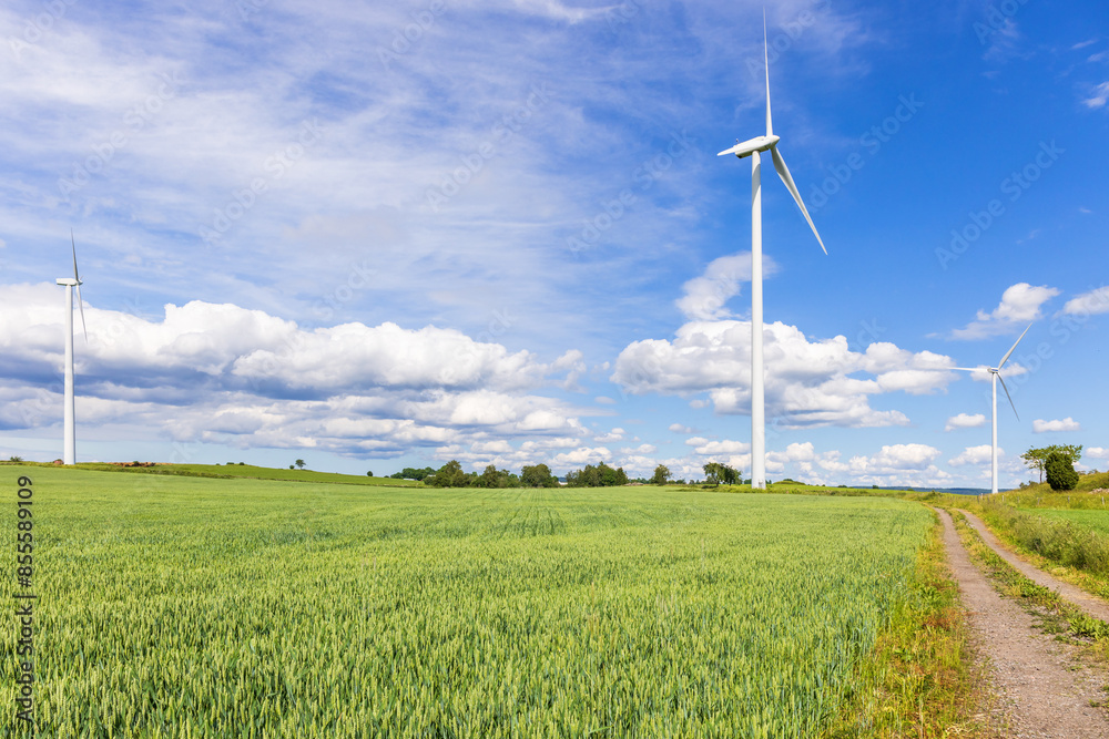 Canvas Prints Field and wind turbines in a rural landscape view