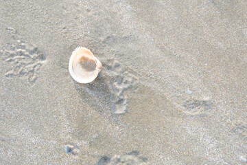 details of sand that were eroded by sea water Along the coast of Thailand