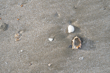 details of sand that were eroded by sea water Along the coast of Thailand