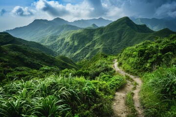 Fototapeta premium A dirt path winds its way through a vibrant green valley surrounded by towering mountains, A serene mountain landscape with lush greenery and a winding trail