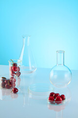 The table in laboratory containing glass instruments and sweet cherries, which prepared for cosmetic or beauty care product researching, vacant platform in center for displaying product