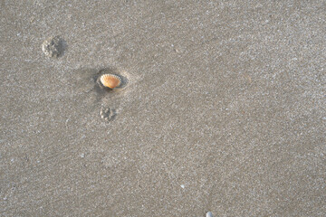 details of sand that were eroded by sea water Along the coast of Thailand