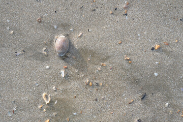 details of sand that were eroded by sea water Along the coast of Thailand