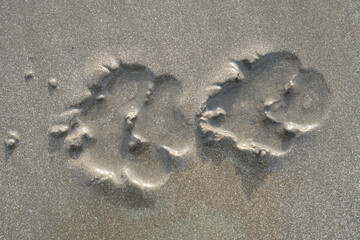 Dog footprints in the sand, beach, Chanthaburi, Thailand