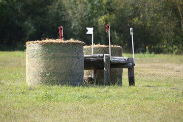 Obstacle, hurdle for sport horses stands on a green meadow