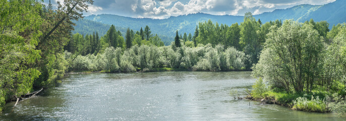 Wild taiga river, summer landscape, panoramic view
