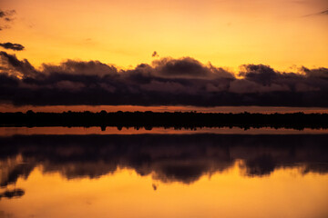 Beautiful view to amazon rainforest sunrise over Negro River