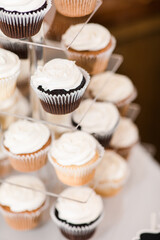 Tiered vanilla and chocolate cupcakes display with white frosting