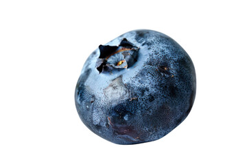 Close-up of a single fresh blueberry isolated on white background. Perfect for food, fruit, and healthy diet concepts.