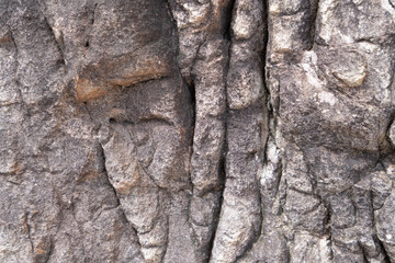 Details of seaside rocks that have been eroded by nature over a long period of time, Thailand