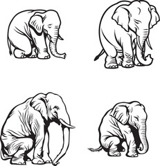 Fototapeta premium A set of elephants drawing vector outline