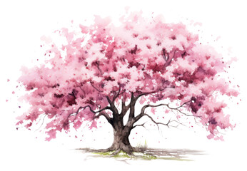 Fototapeta premium PNG Blossom flower plant tree.