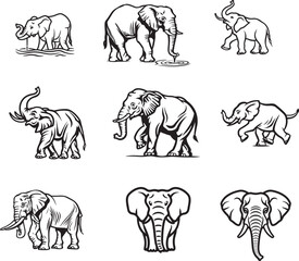 A set of elephants drawing vector outline